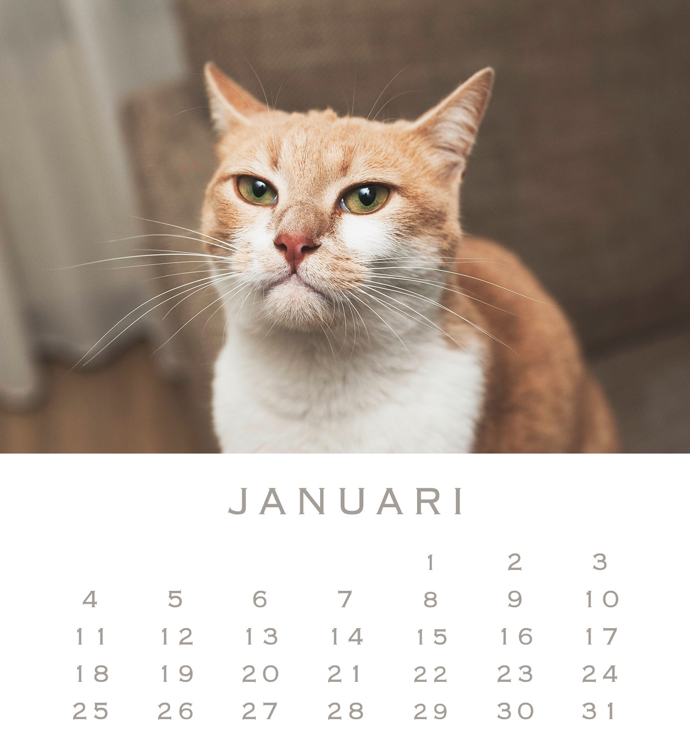 Groenteboer het laatste moordenaar Jofabi Foto » De nieuwe jaarkalender is uit!