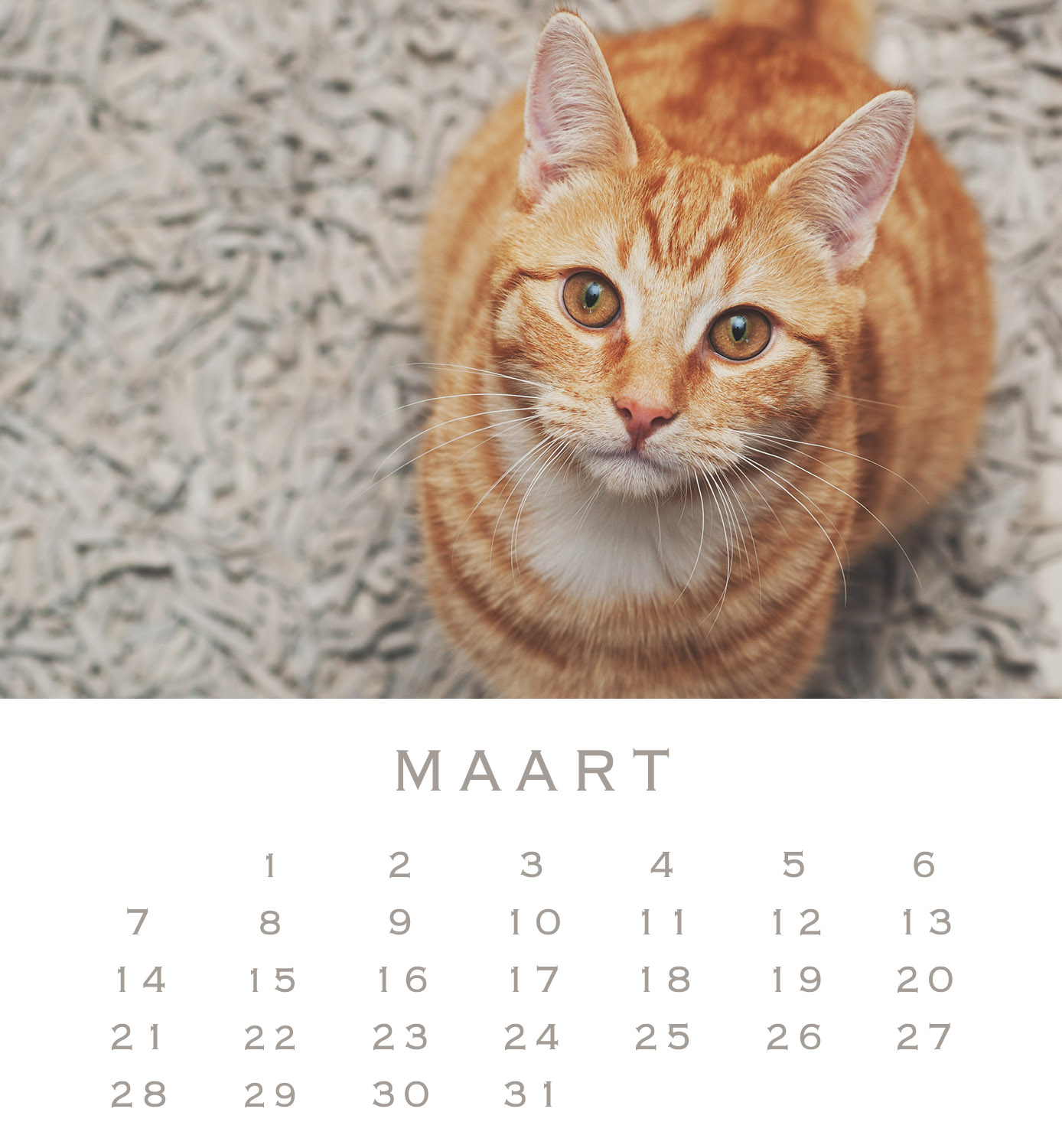 Jofabi Foto » jaarkalender is uit!