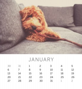 Jofabi 2013 Calendar - January