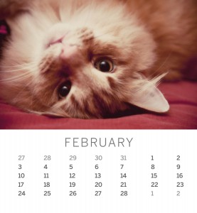 Jofabi 2013 Calendar - February