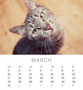 Jofabi 2013 Calendar - March