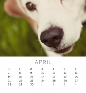 Jofabi 2013 Calendar - April