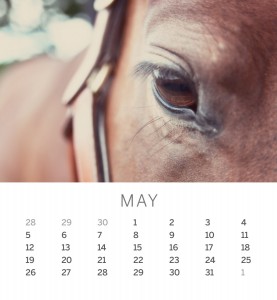 Jofabi 2013 Calendar - May
