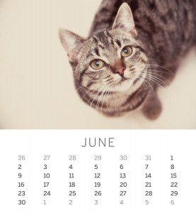 Jofabi 2013 Calendar - June