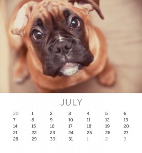 Jofabi 2013 Calendar - July