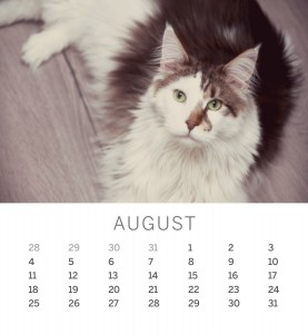 Jofabi 2013 Calendar - August