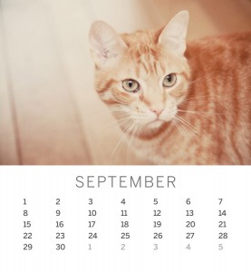 Jofabi 2013 Calendar - September