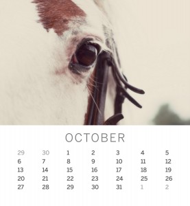 Jofabi 2013 Calendar - October