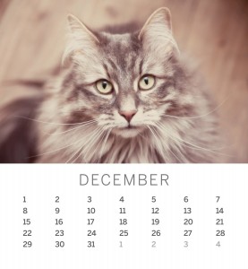 Jofabi 2013 Calendar - December