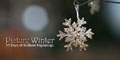 Picture Winter